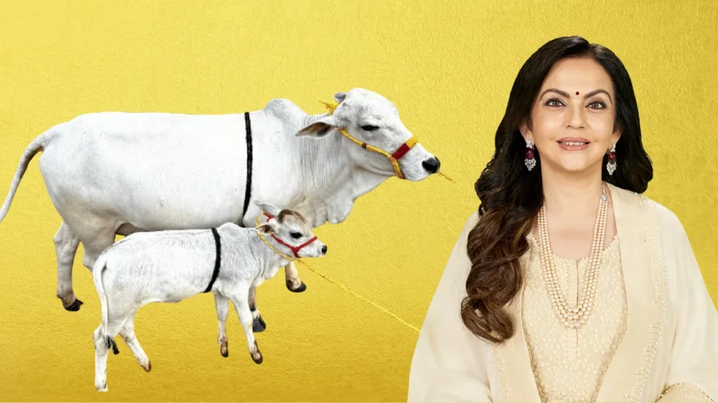 Neeta Ambani Luxury Cow Milk